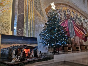 269760957_733572227621681_6229545491698798860_n