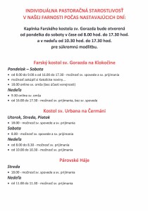 individuálna pastorácia